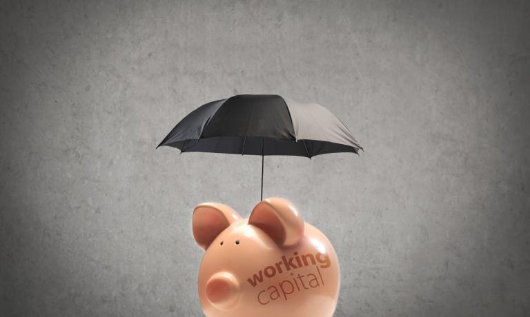Piggy bank Piggy bank